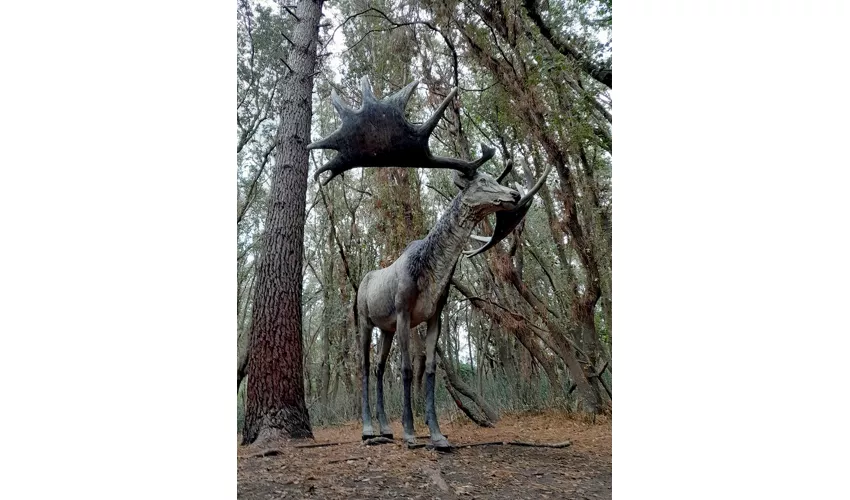 Auronzo Tre Cime. Dai dinosauri ai mammut, la storia continua