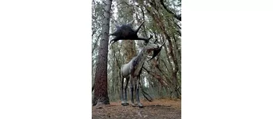 Auronzo Tre Cime. Dai dinosauri ai mammut, la storia continua
