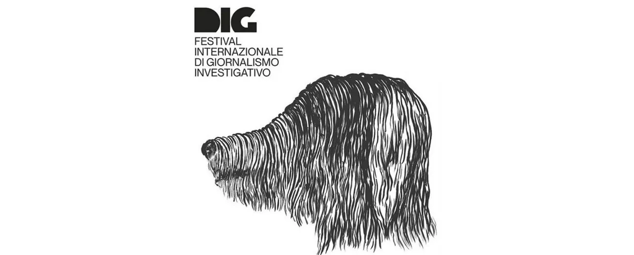 Dig Festival