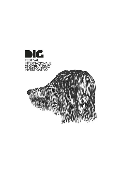 Dig Festival