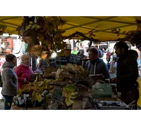 Exhibition of white truffles and fossa cheese