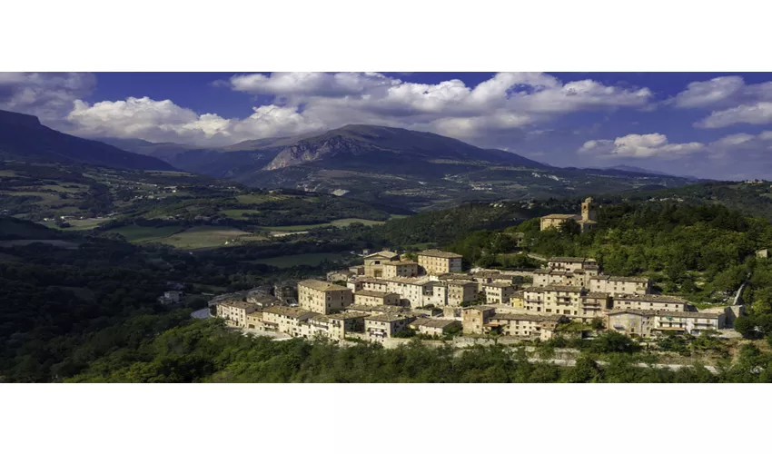 Montefortino