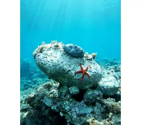 Museo Subacqueo Atlantide, Diamante
