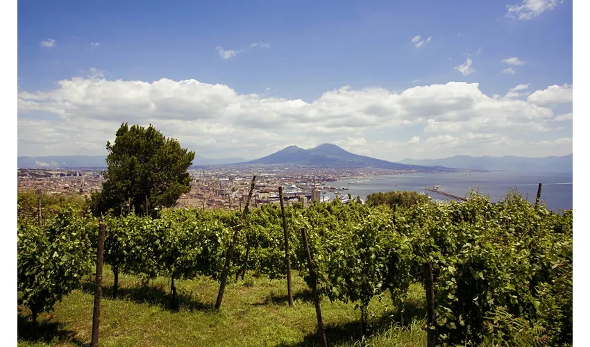 Napoli Vigna San Martino