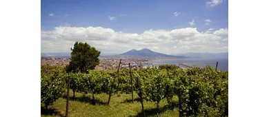 Napoli Vigna San Martino