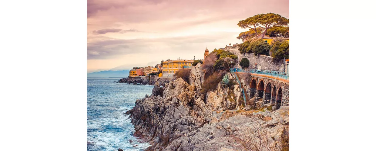 Nervi