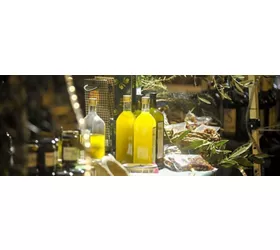 Olioliva a Imperia: profumi di Liguria