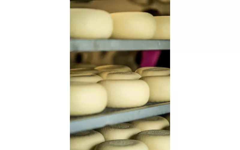 Weingastronomisches Shopping