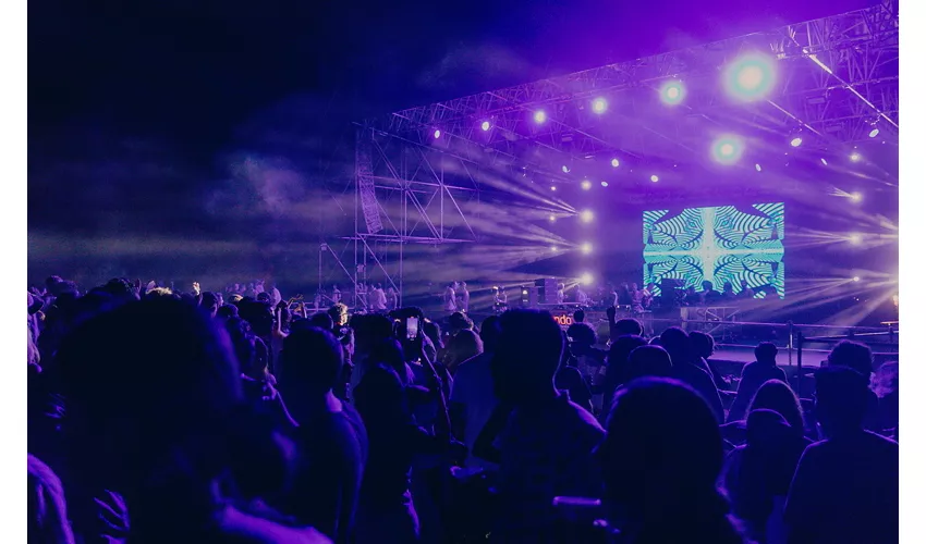 Polifonic Festival