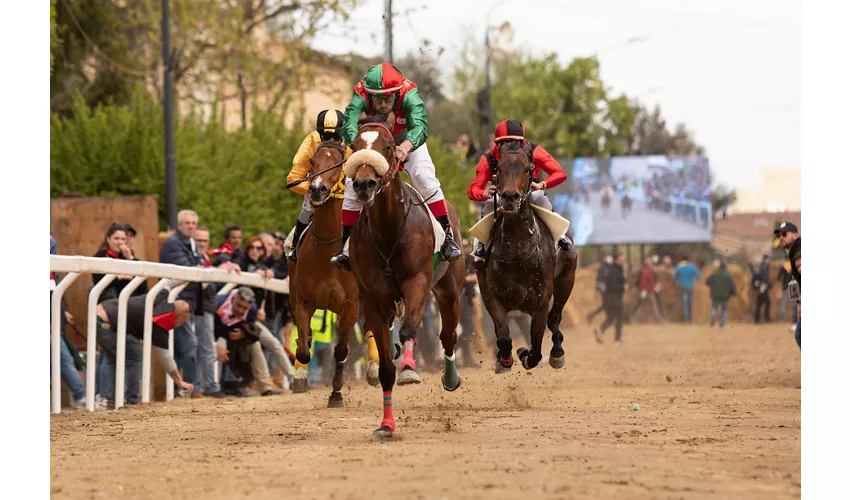Palio delle Contrade di Buti 