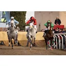 Palio delle Contrade di Buti 