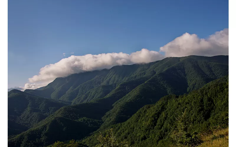 Caminar por los parques es un canto a la naturaleza 