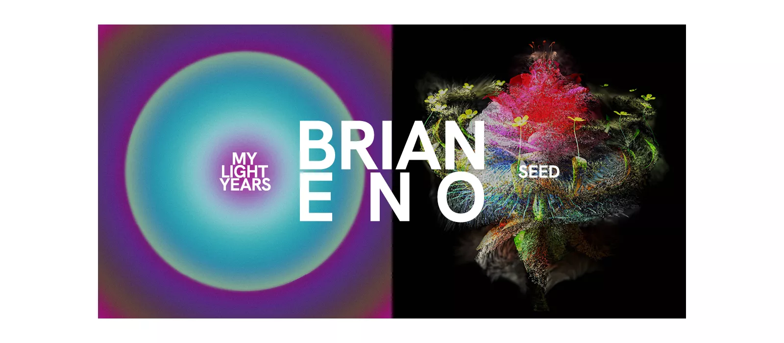 BRIAN ENO