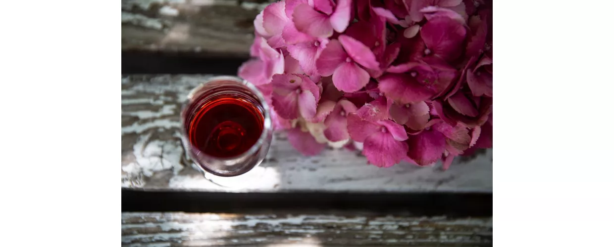 Piacenza, Vino rosso, ph. Effetrefotostudio, archivio Immagini Visitemilia