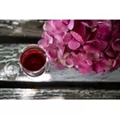 Valtidone Wine Fest