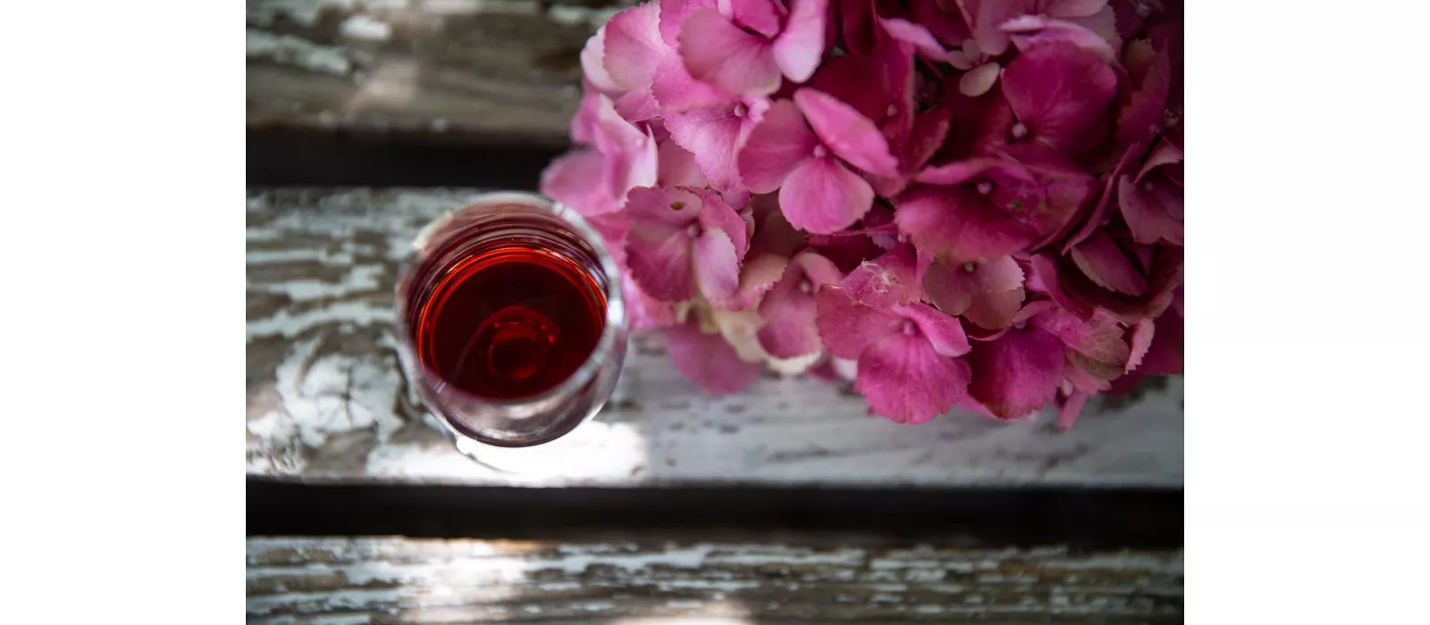 Valtidone Wine Fest