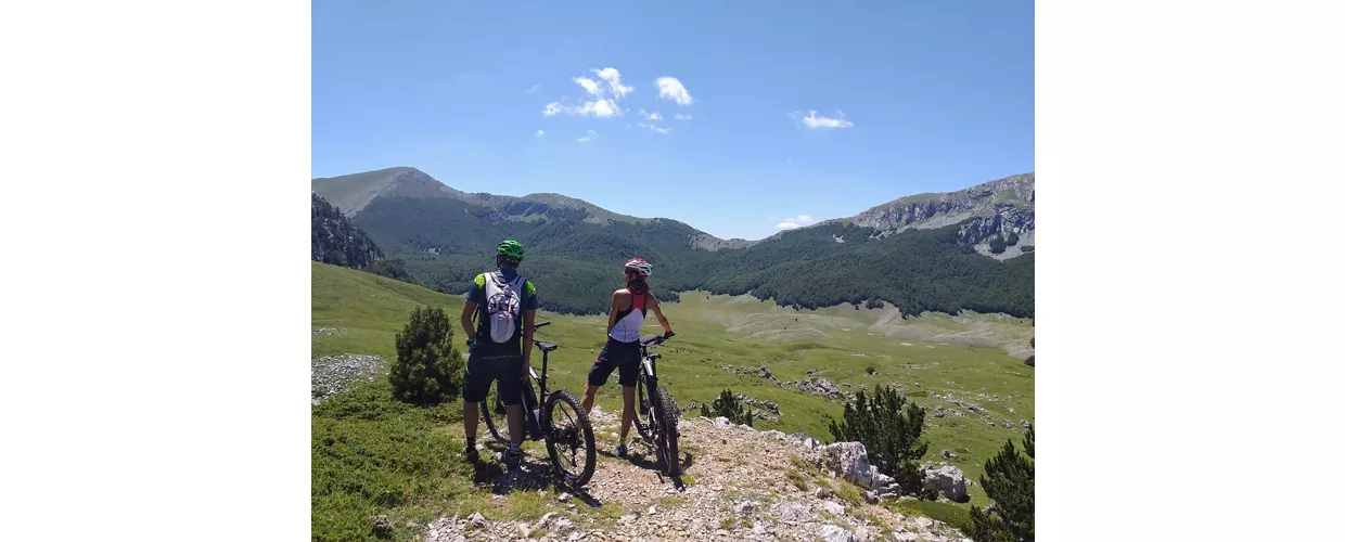 Pollino bici