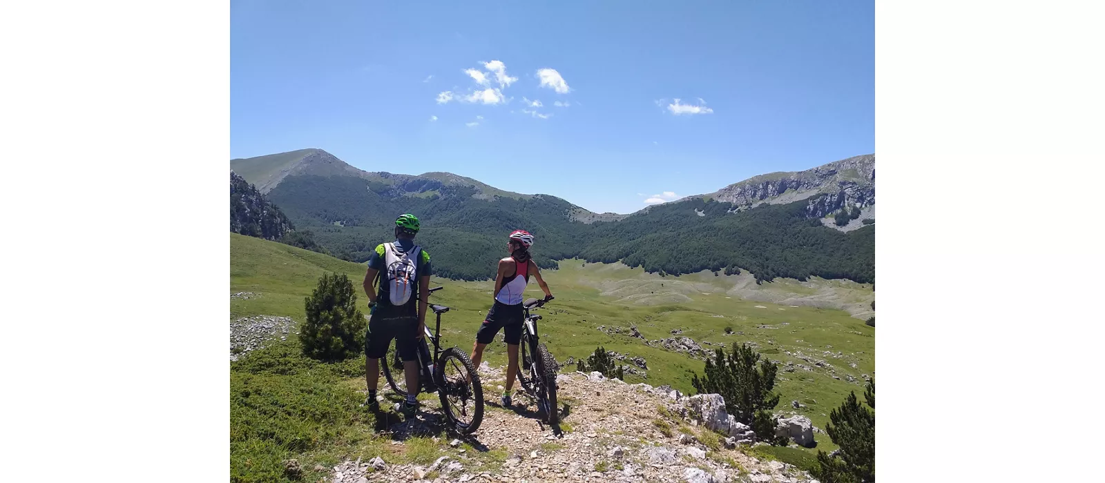 Pollino bici