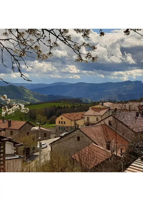 Cammino di San Francesco da Rimini a La Verna 