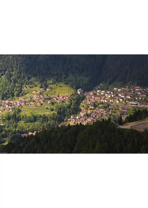 Rovascleto
