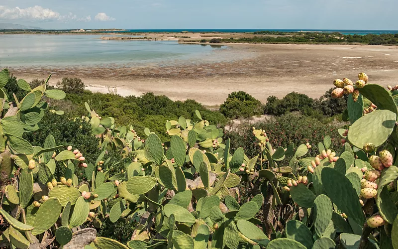 Sicilia occidentale: tra sentieri, saline e paesaggi sospesi