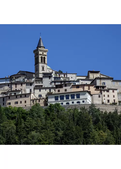 Via di Francesco del Sud