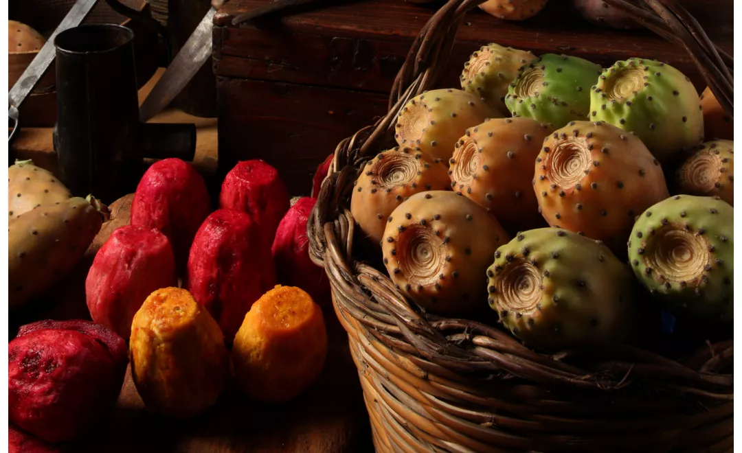 Sagre e feste del cibo in Sicilia 3