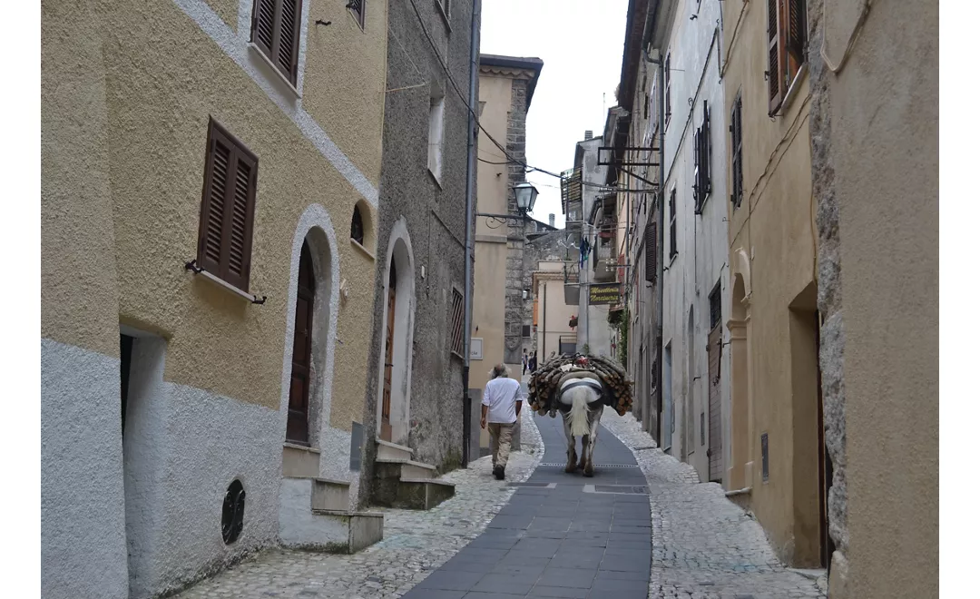 San-Benedetto-Tappa-11-Trevi-nel-Lazio-antico-Foto-borgo-dei-Simbruini.jpg
