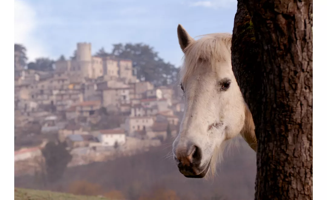 Castel di Tora - Orvinio