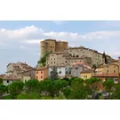 National White Truffle Fair