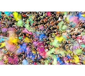 Sherwood Festival