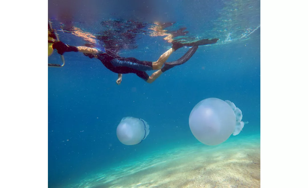 Soverato Medusa snorkeling