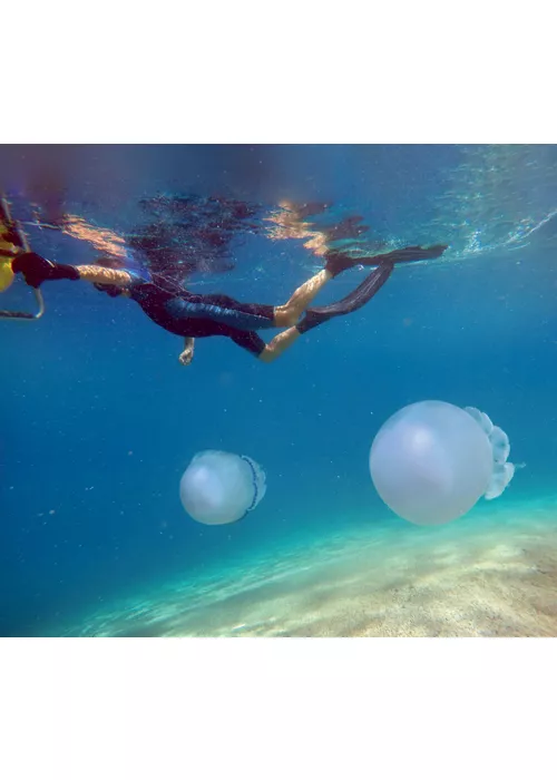 Soverato Medusa snorkeling