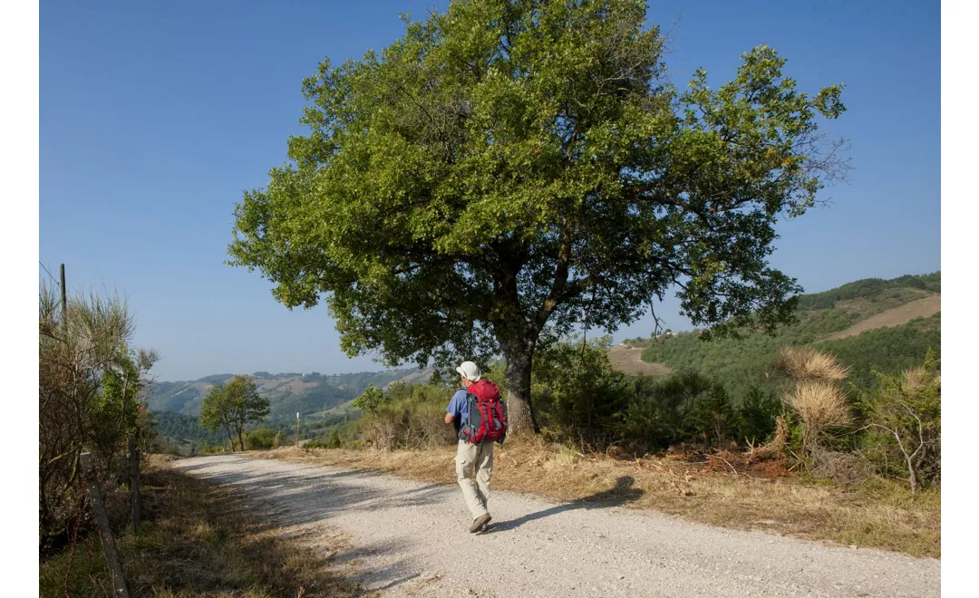 Pietralunga - Gubbio