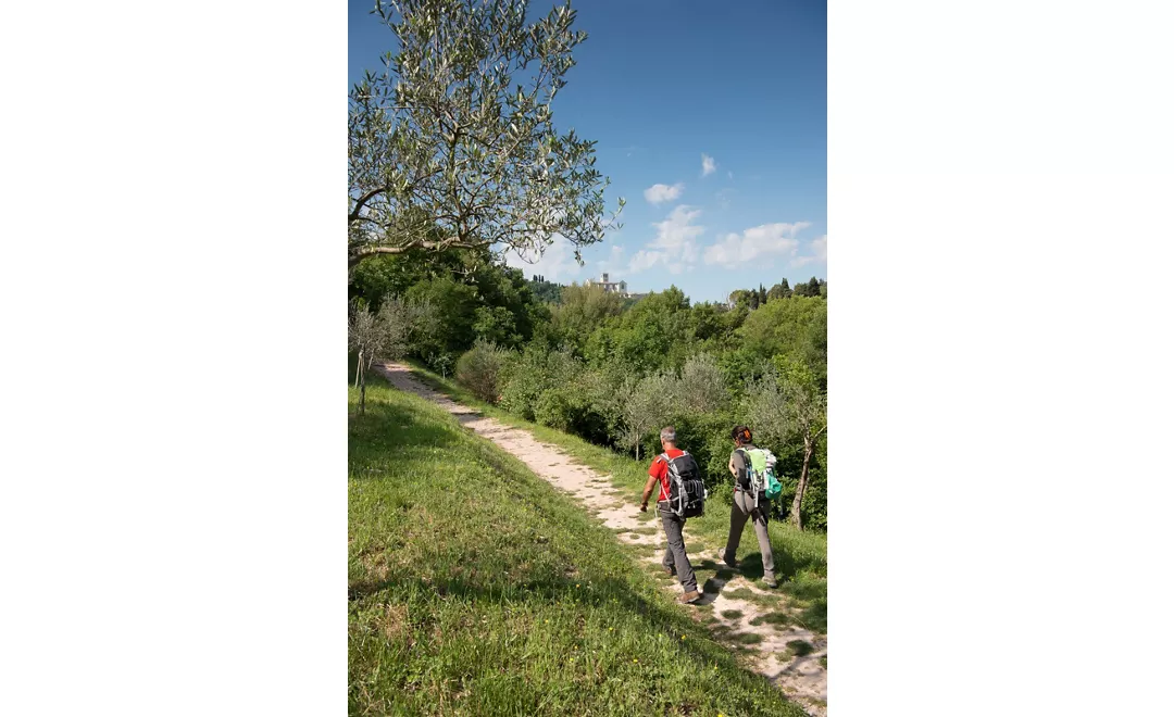 Valfabbrica - Assisi