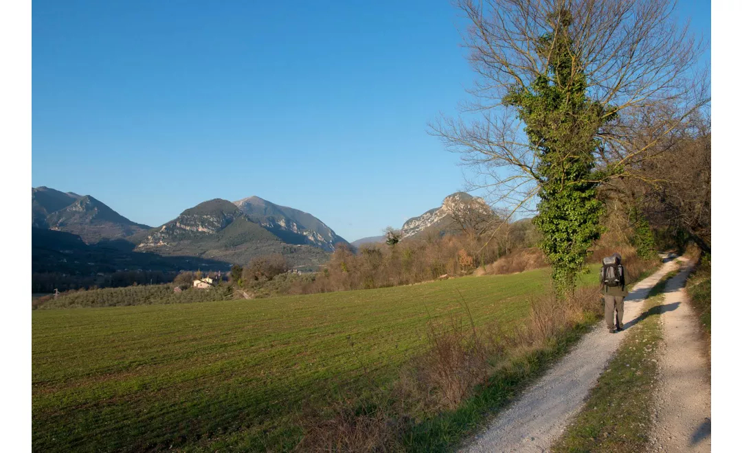 Arrone - Ceselli