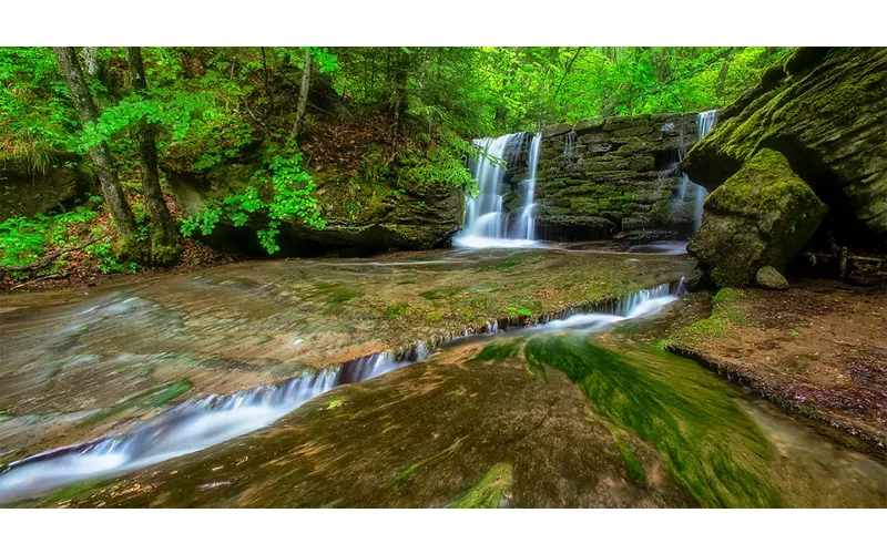 Casentino : où l'eau rencontre la forêt
