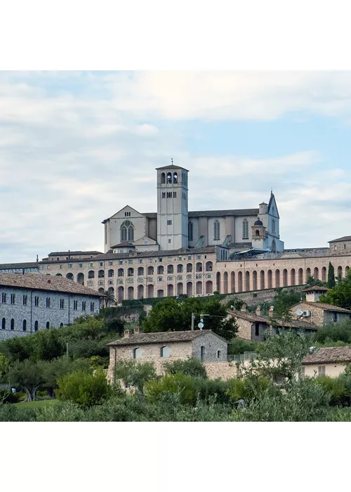 Il Cammino della Luce