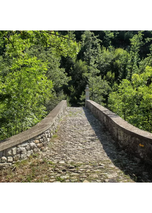 La Via Matildica del Volto Santo