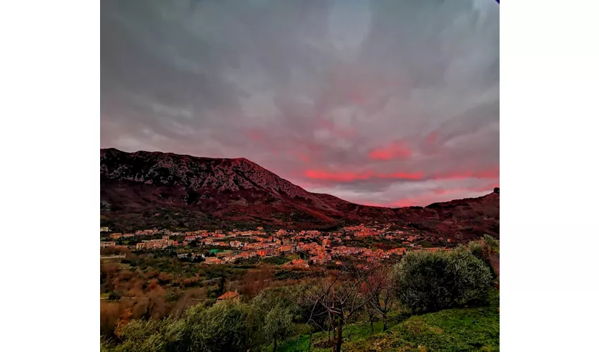 Vitulano