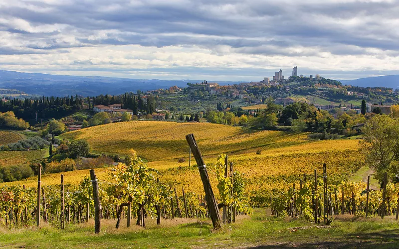 Il primo marchio di qualità a un vino bianco 