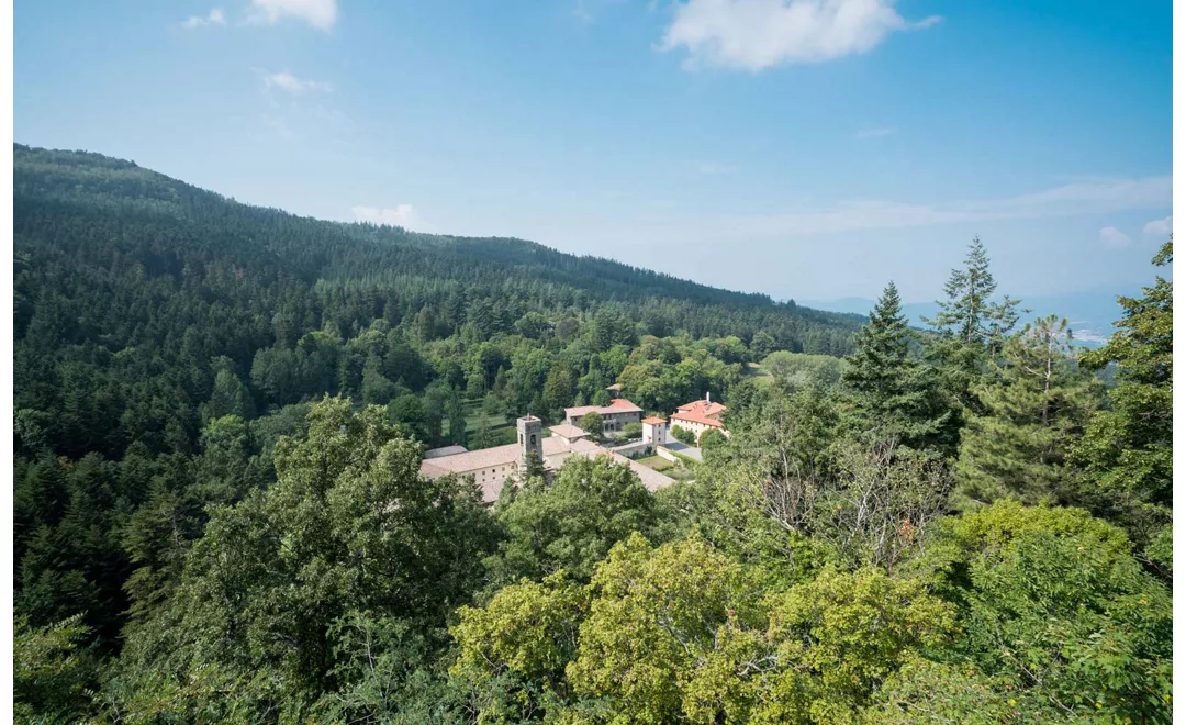 Vallombrosa - Montemignaio