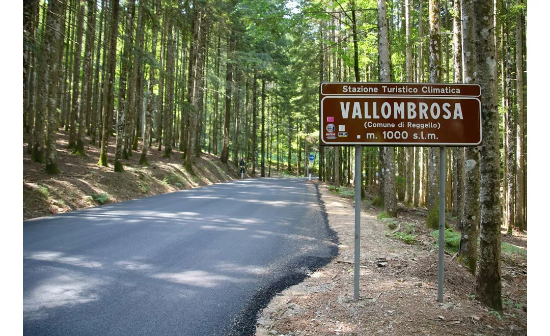 Vallombrosa - Montemignaio