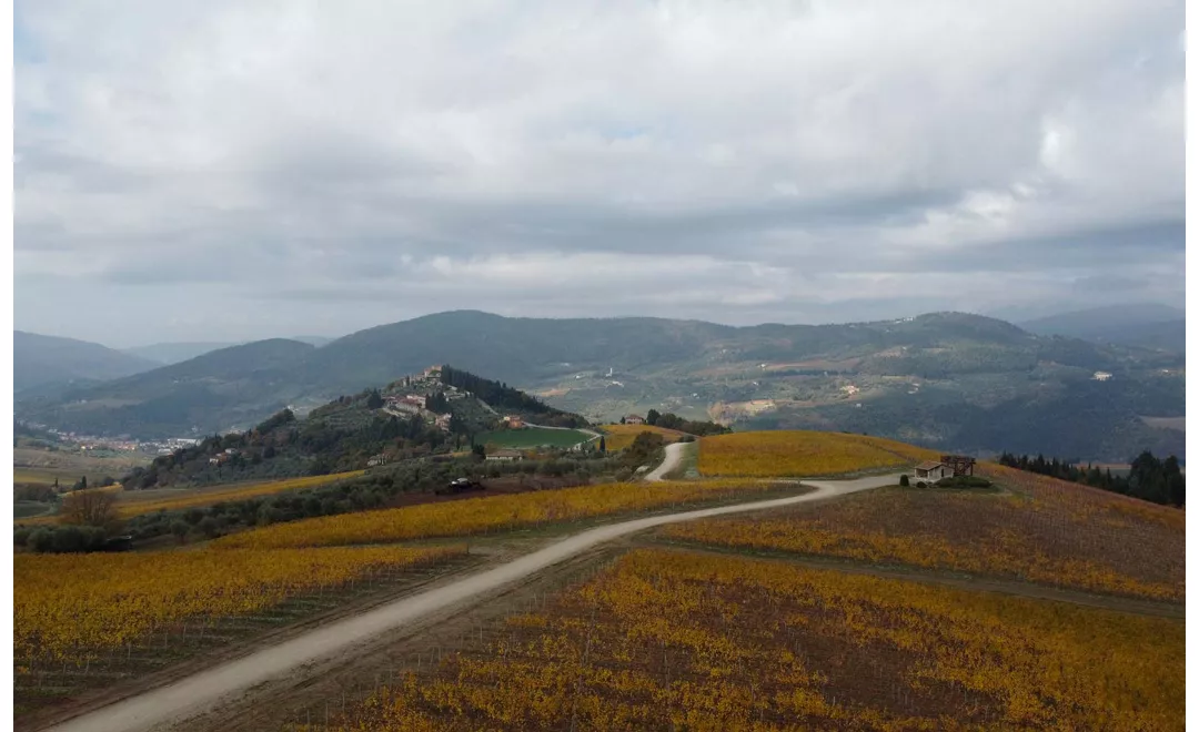 Pontassieve - Passo della Consuma