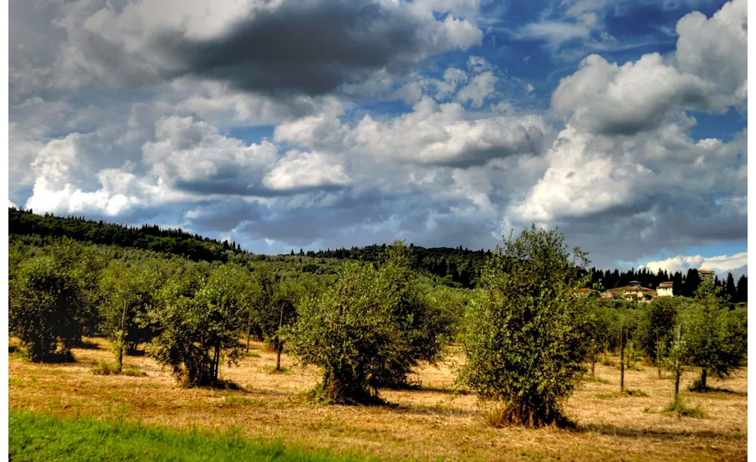 Firenze - Rignano sull'Arno