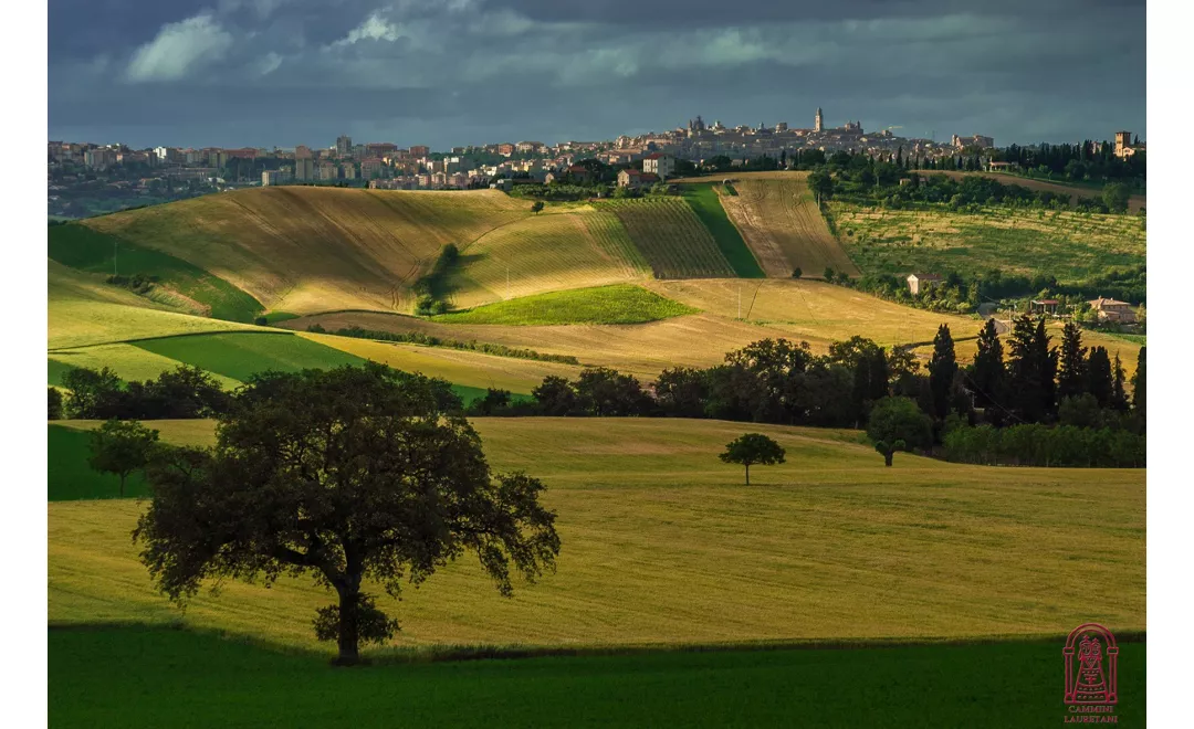 Tolentino - Macerata