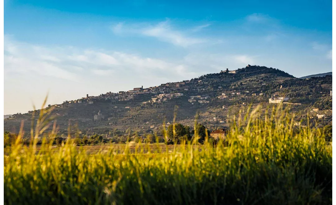 Pieve di Rigutino - Cortona