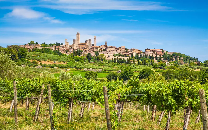 Il primo marchio di qualità a un vino bianco 