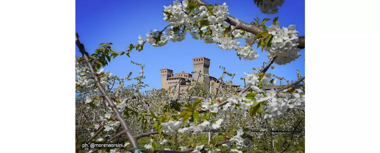 Vignola-MO-Rocca-e-fioritura-dei-ciliegi-ph.-morenaorsini-visitmodena