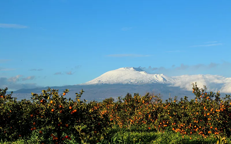 foto per visitsicily - 2 A passo d’asino - Barone - etna